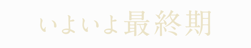 いよいよ最終期